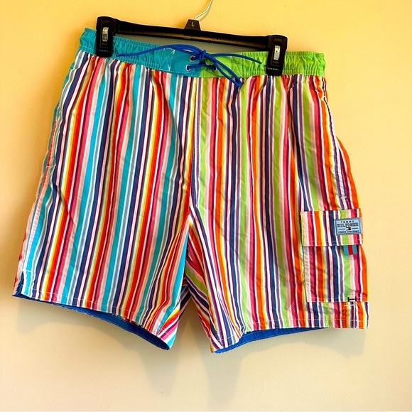 Tommy Hilfiger Other - Tommy Hilfiger Multicolored Striped Men’s M Premium Swim Trunks Lined Pockets